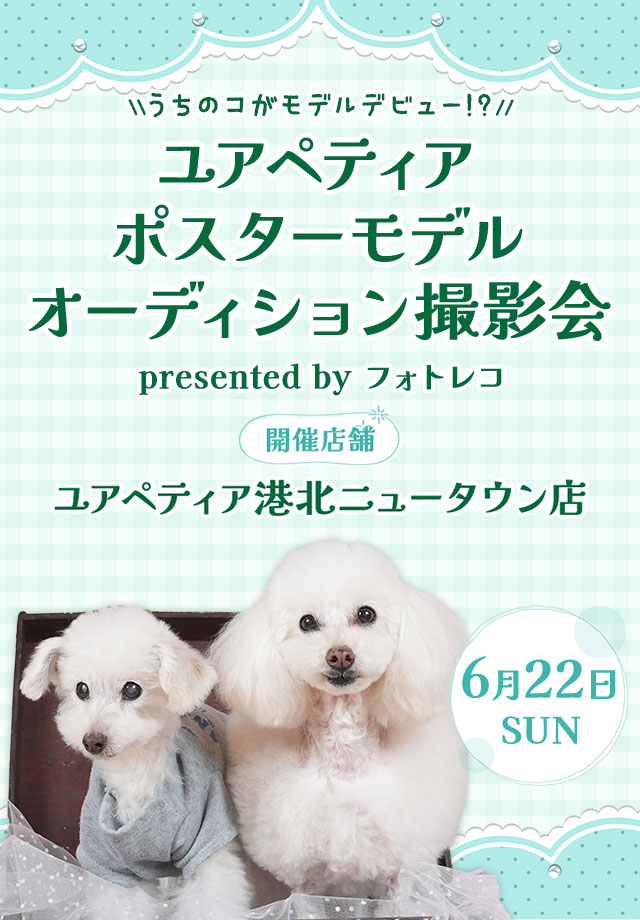 ユアペティア ポスターモデルオーディション撮影会