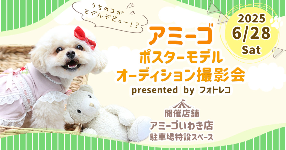 アミーゴ ポスターモデルオーディション撮影会