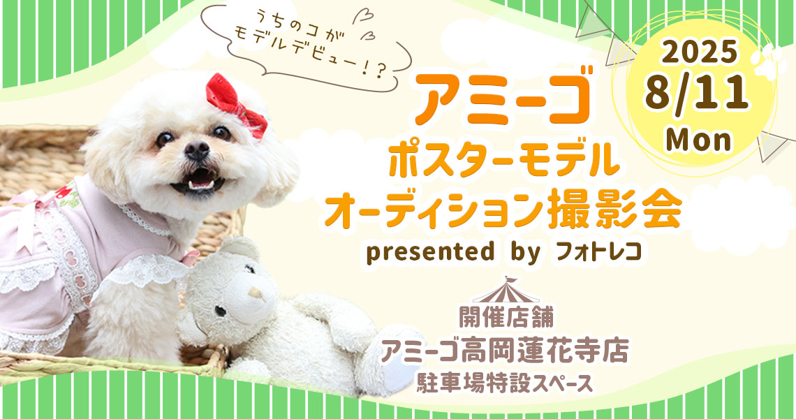 アミーゴ ポスターモデルオーディション撮影会