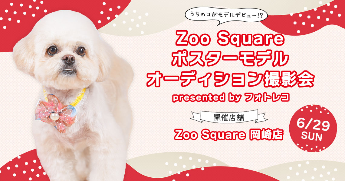 ジャンボエンチョー・ホームアシスト・Zoo Square ポスターモデルオーディション撮影会