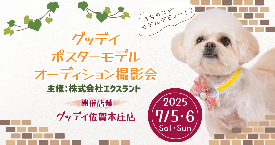 グッデイ ポスターモデルオーディション撮影会
