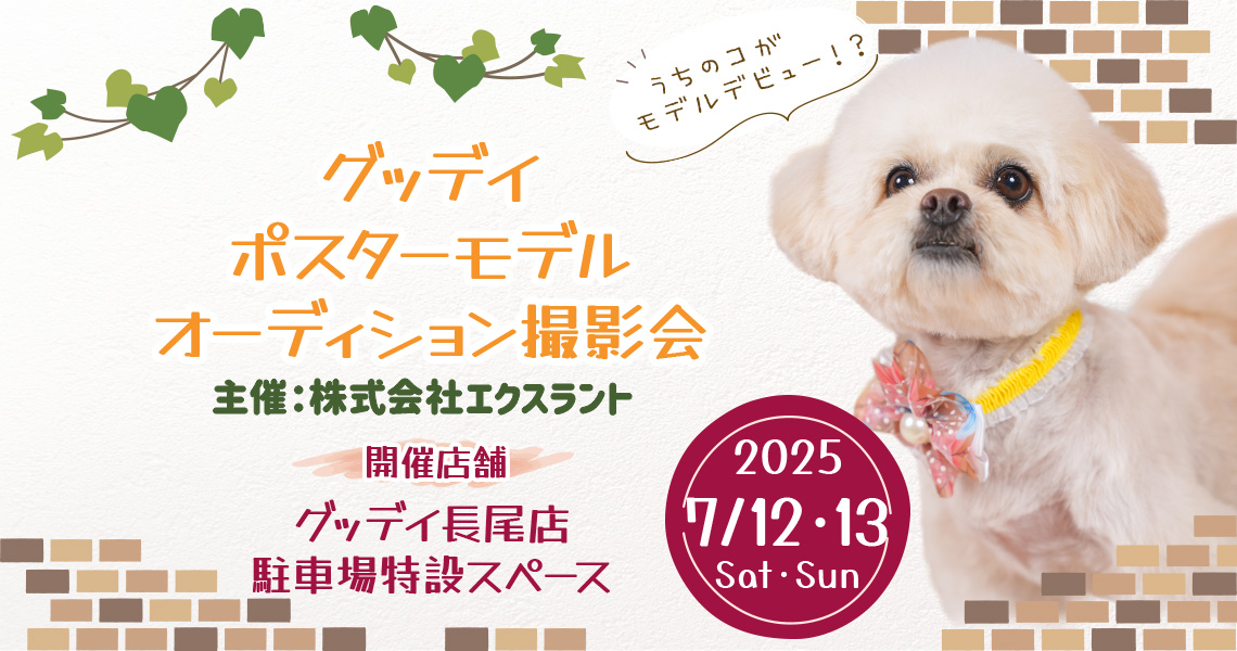 グッデイ ポスターモデルオーディション撮影会