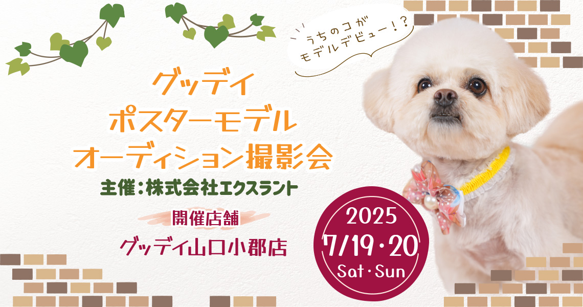 グッデイ ポスターモデルオーディション撮影会
