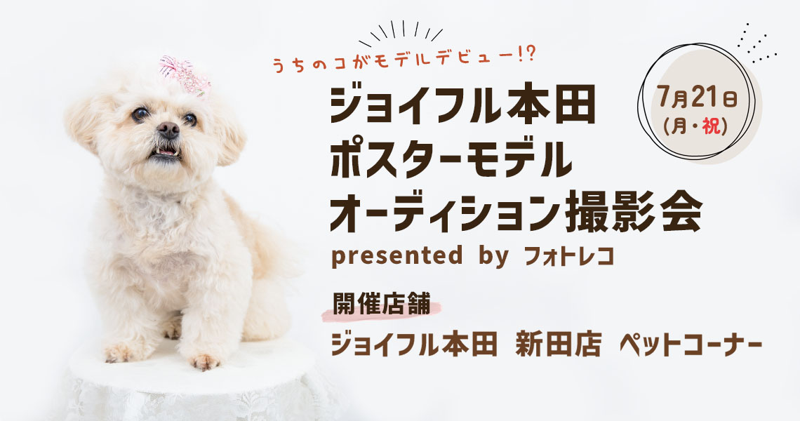 ジョイフル本田 ポスターモデルオーディション撮影会