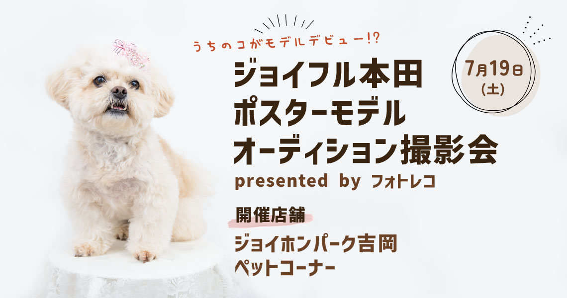 ジョイフル本田 ポスターモデルオーディション撮影会