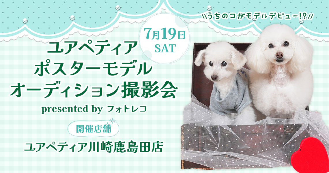 ユアペティア ポスターモデルオーディション撮影会