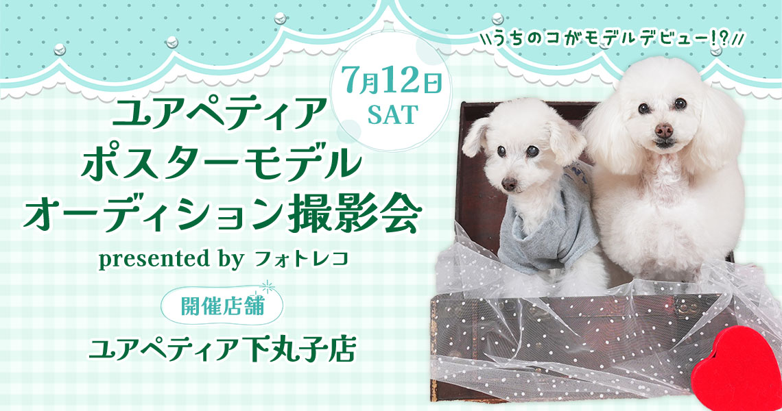 ユアペティア ポスターモデルオーディション撮影会