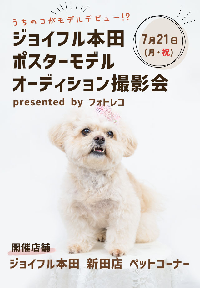 ジョイフル本田 ポスターモデルオーディション撮影会