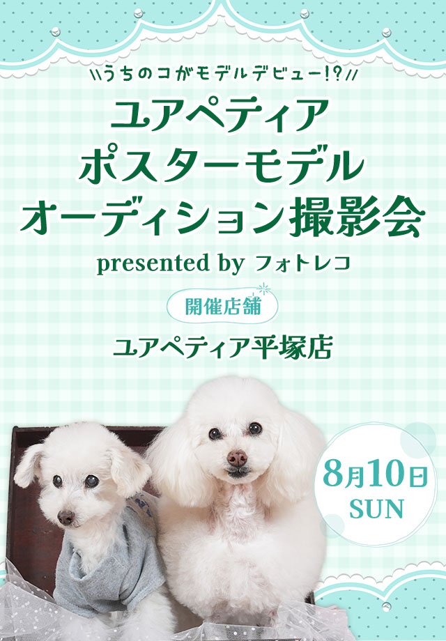 ユアペティア ポスターモデルオーディション撮影会