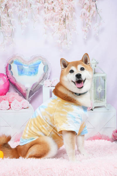 グランプリ 凛ちゃん