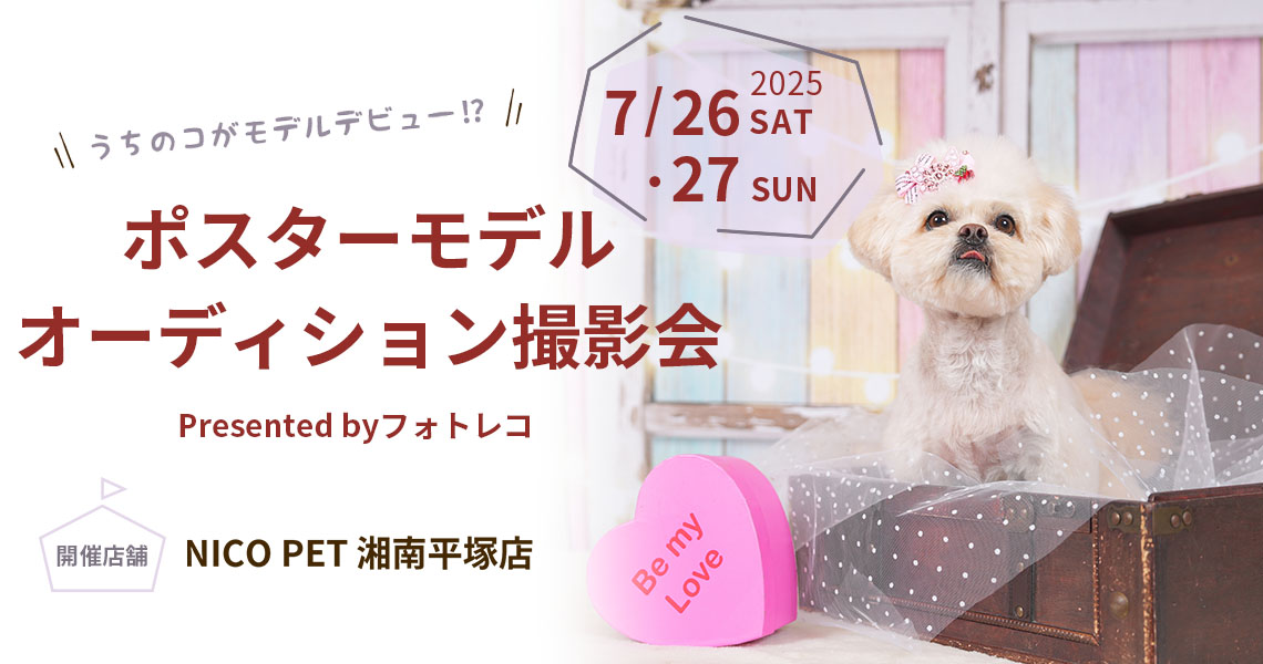 ニコペット・ビバホーム・ムサシ ポスターモデルオーディション撮影会