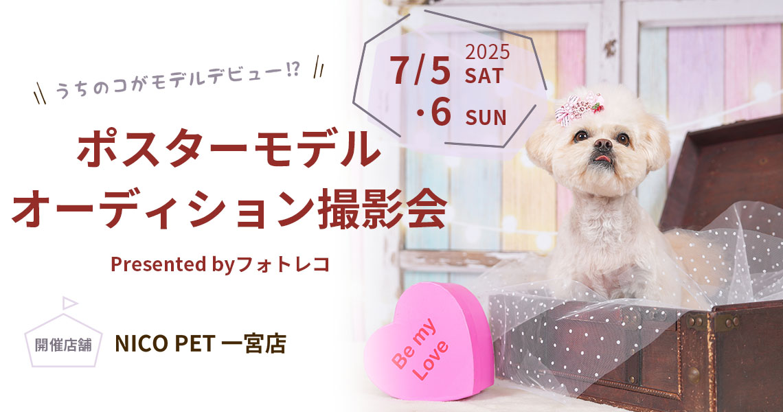 ニコペット・ビバホーム・ムサシ ポスターモデルオーディション撮影会