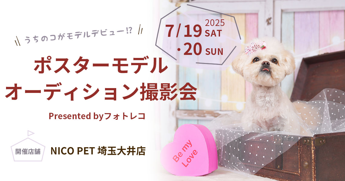 ニコペット・ビバホーム・ムサシ ポスターモデルオーディション撮影会