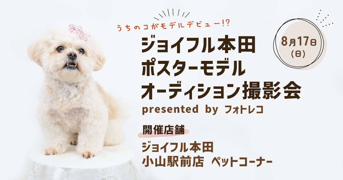 ジョイフル本田 ポスターモデルオーディション撮影会