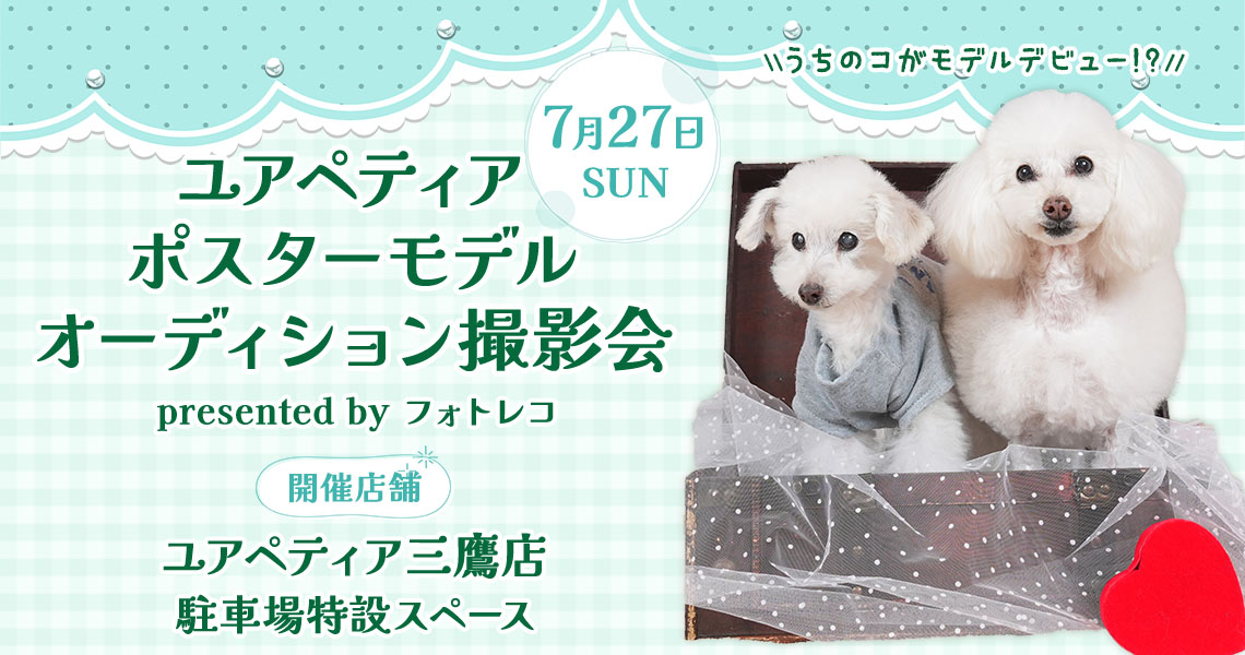 ユアペティア ポスターモデルオーディション撮影会