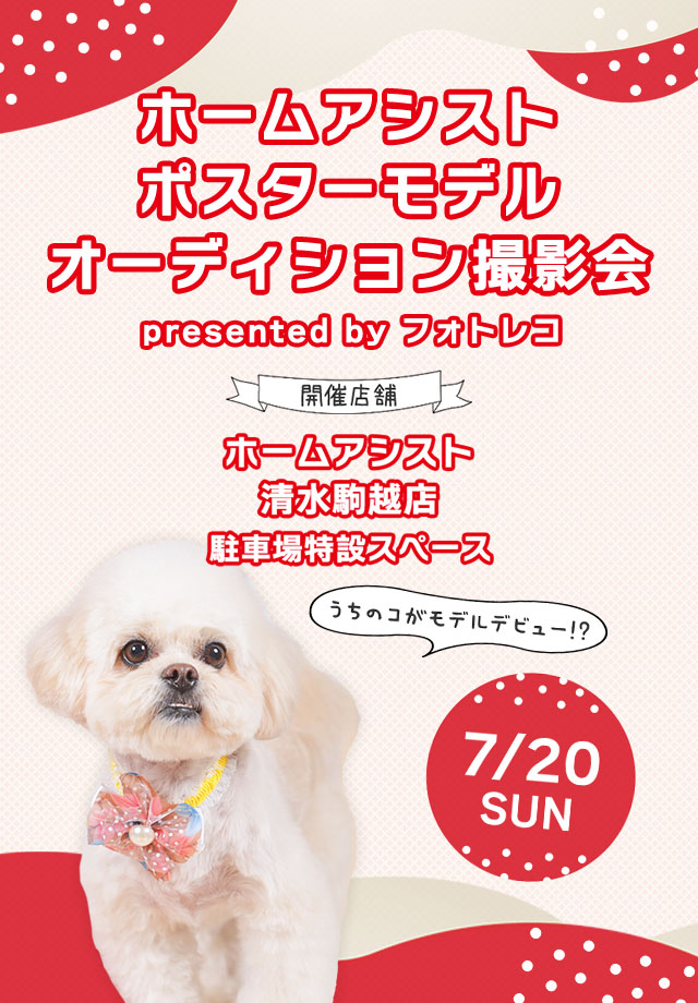 ジャンボエンチョー・ホームアシスト・Zoo Square ポスターモデルオーディション撮影会