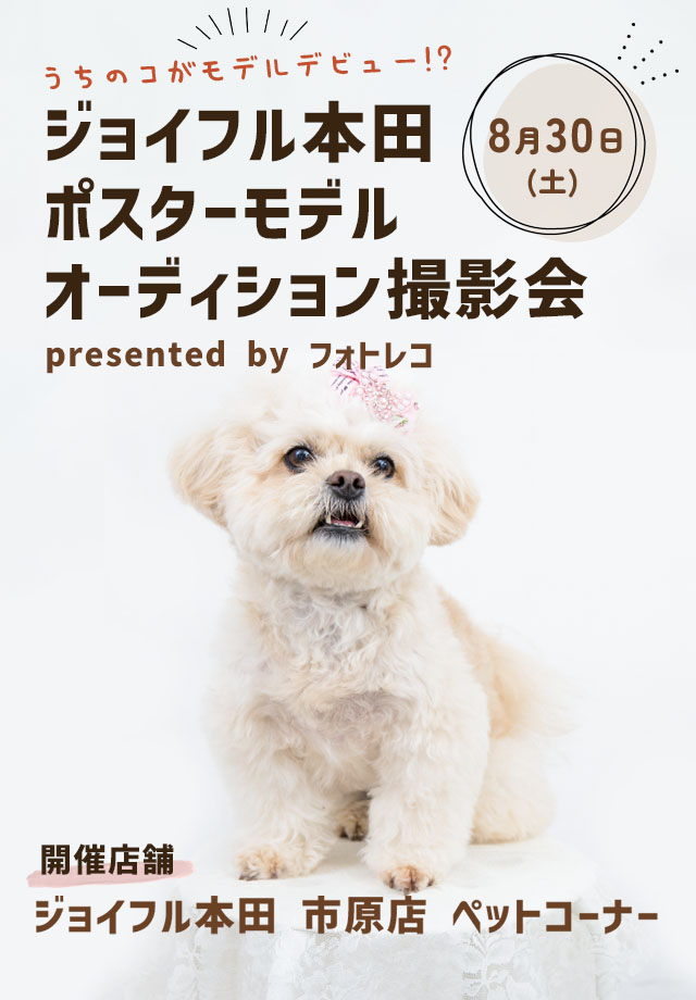 ジョイフル本田 ポスターモデルオーディション撮影会