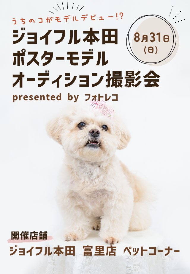 ジョイフル本田 ポスターモデルオーディション撮影会