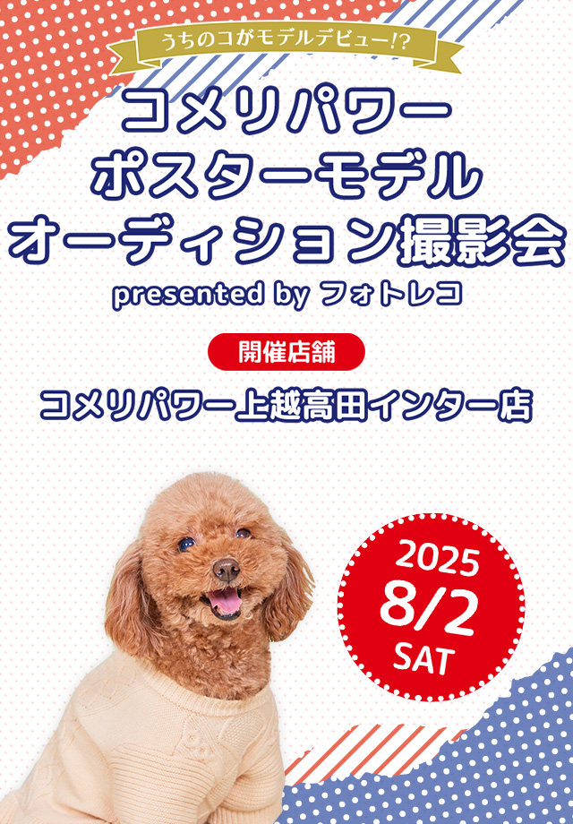 コメリ ポスターモデルオーディション撮影会