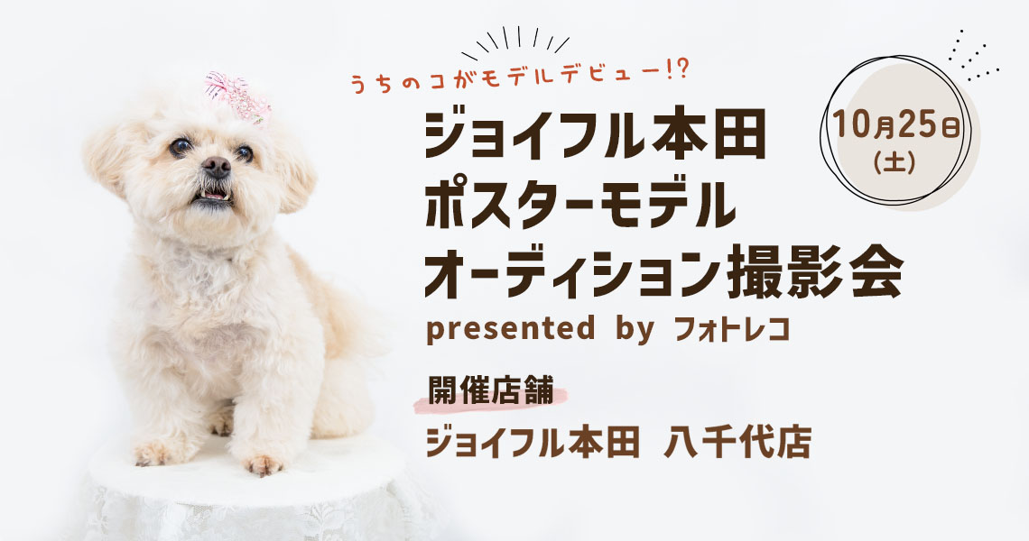 ジョイフル本田 ポスターモデルオーディション撮影会