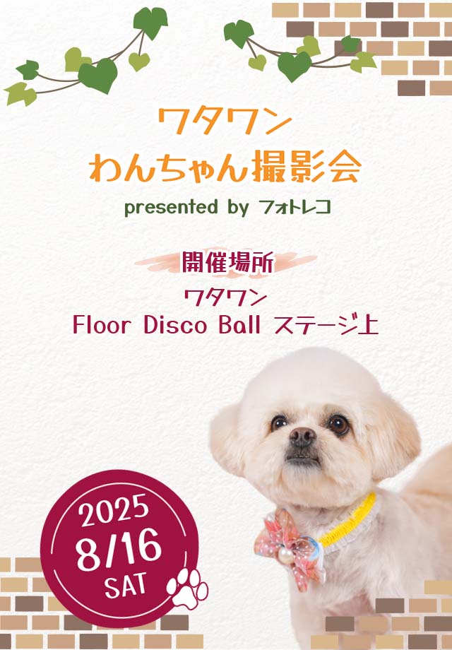 オーダー受付　シーズー　ご予約ページ　レアパネル　8/19 オーダー受付 シーズー ご予約ページ レアパネル 8/19 - メルカリ