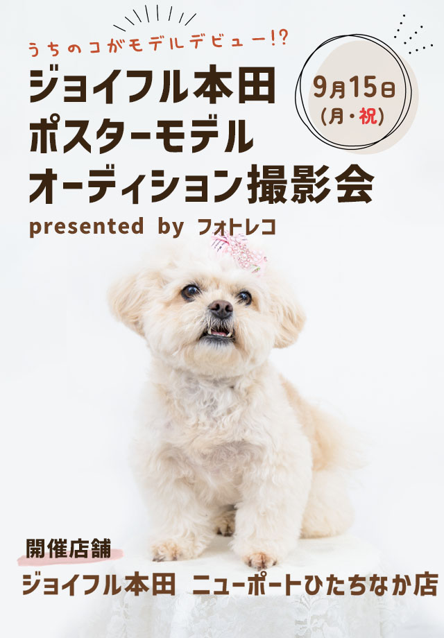 ジョイフル本田 ポスターモデルオーディション撮影会