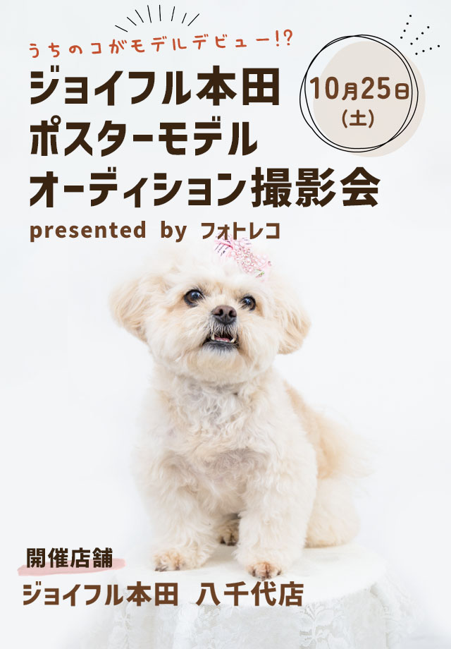 ジョイフル本田 ポスターモデルオーディション撮影会