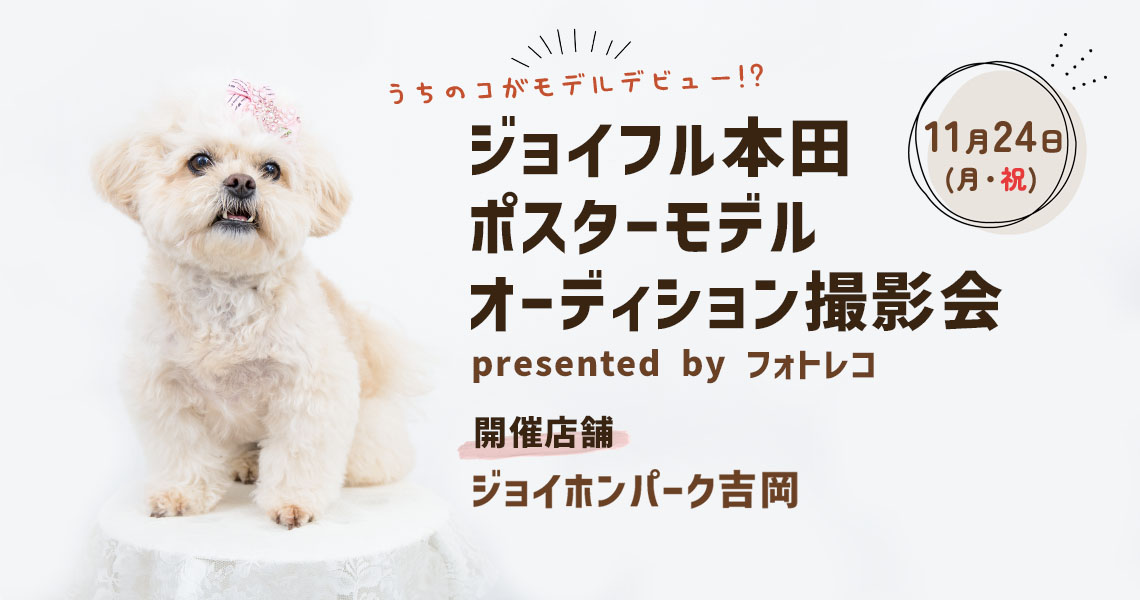 ジョイフル本田 ポスターモデルオーディション撮影会
