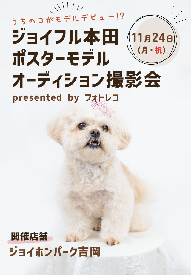 ジョイフル本田 ポスターモデルオーディション撮影会