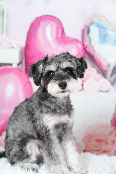 グランプリ そらくん