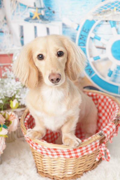 2025年8月10日
 DCM境店グランプリ れいくん