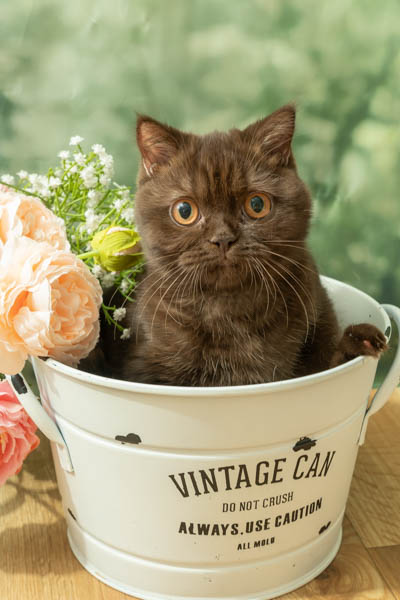 2025年9月6日
 DCM天理店グランプリ もずくちゃん