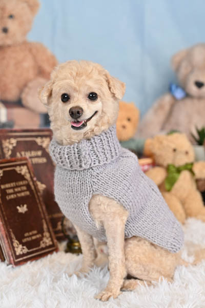 2025年9月6日~9月7日
グッデイ久留米野中店グランプリ モカくん