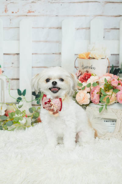 2025年9月7日
 DCM東バイパス店グランプリ すずちゃん