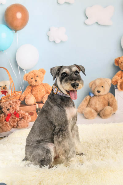 2025年9月14日
 DCM津高店グランプリ ロッティくん