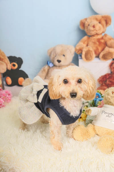 2025年9月15日グッデイ大牟田店グランプリ ろあちゃん