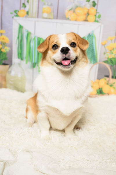 2025年9月21日
 DCM北野通店グランプリ むぎくん