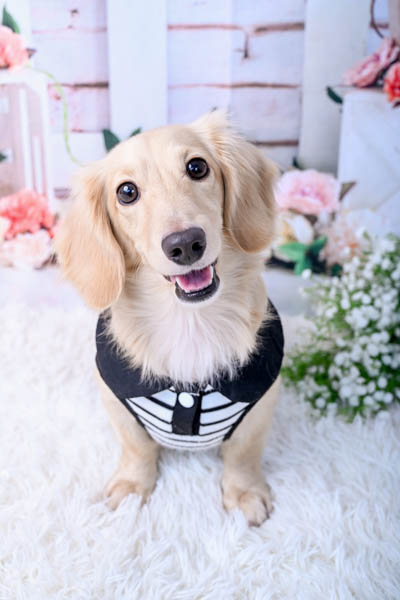 2025年9月28日
 DCM安城住吉店グランプリ リオンくん