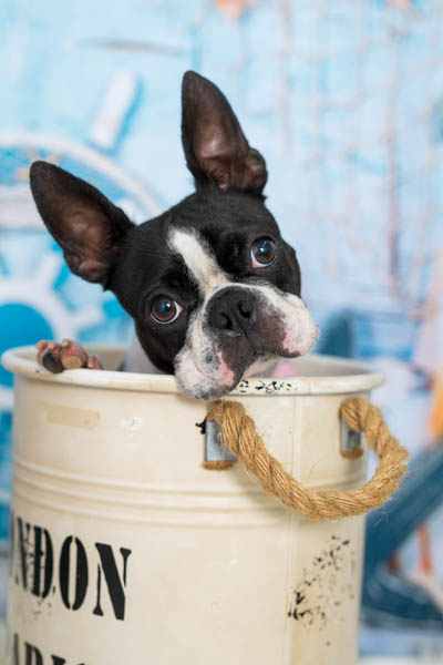 2025年9月28日
 DCM川内店グランプリ あんこちゃん