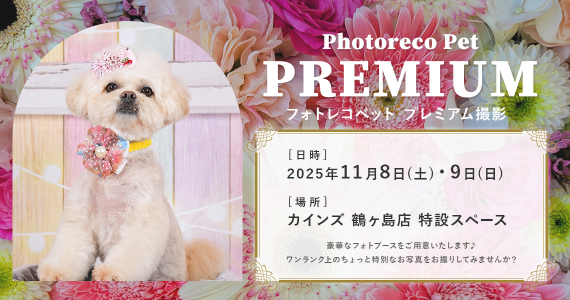 カインズペット撮影会