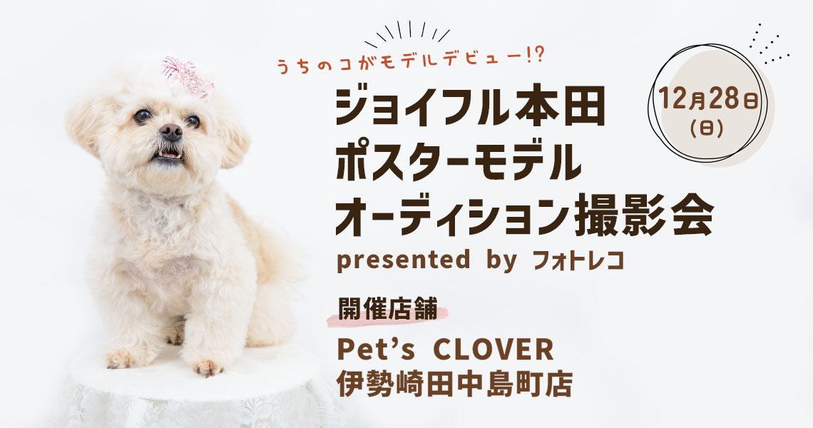 ジョイフル本田 ポスターモデルオーディション撮影会