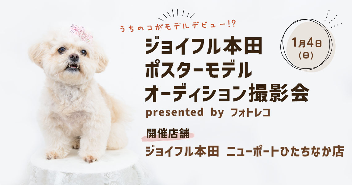 ジョイフル本田 ポスターモデルオーディション撮影会