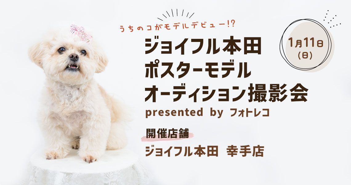 ジョイフル本田 ポスターモデルオーディション撮影会