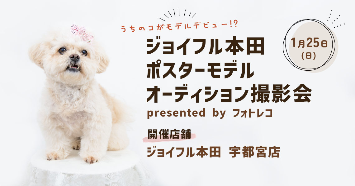 ジョイフル本田 ポスターモデルオーディション撮影会