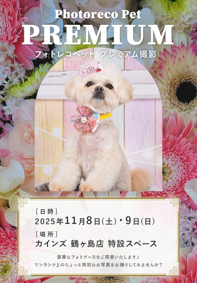 カインズペット撮影会