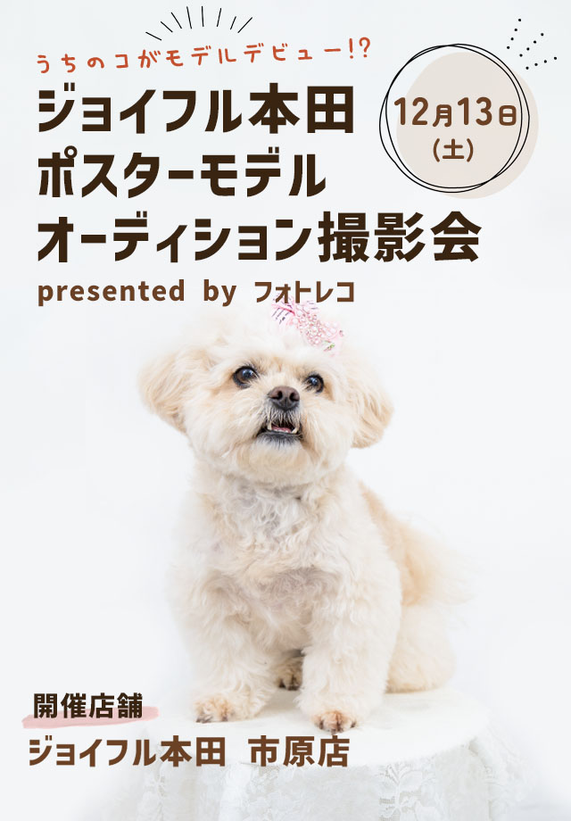 ジョイフル本田 ポスターモデルオーディション撮影会