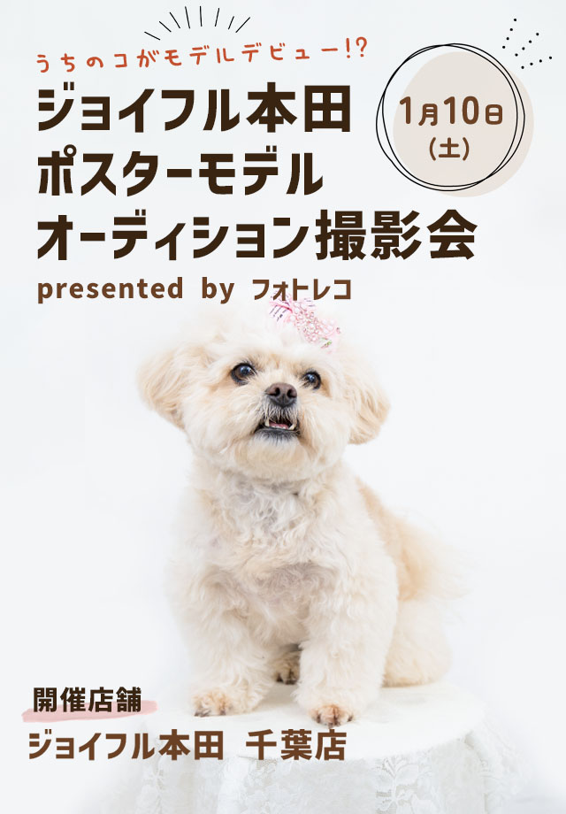 ジョイフル本田 ポスターモデルオーディション撮影会