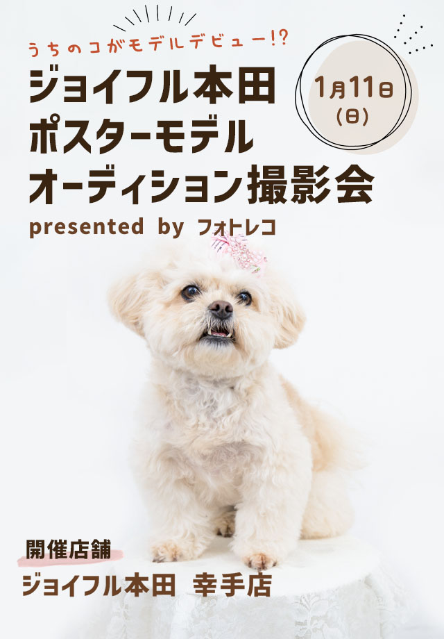 ジョイフル本田 ポスターモデルオーディション撮影会