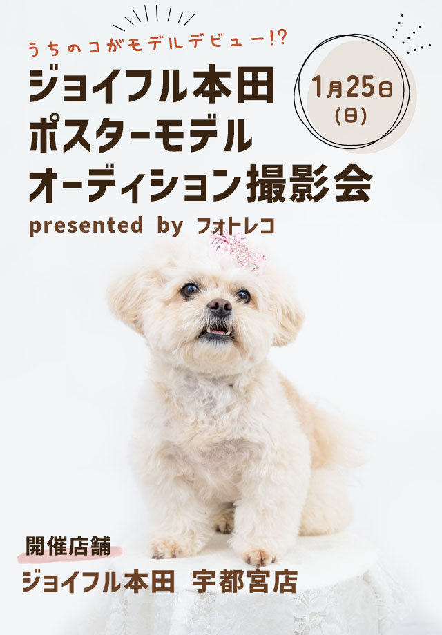 ジョイフル本田 ポスターモデルオーディション撮影会