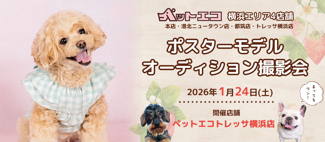 ペットエコ ポスターモデルオーディション撮影会